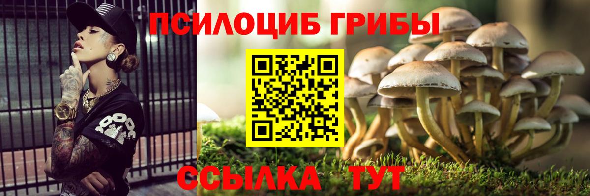 Псилоцибиновые грибы MAGIC MUSHROOMS Щёлково