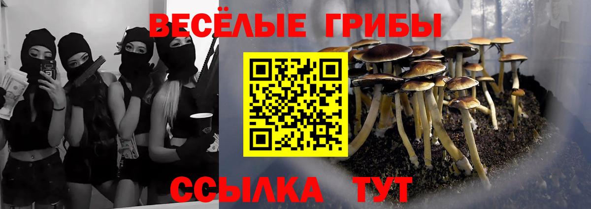 Галлюциногенные грибы GOLDEN TEACHER  Вход с VPN  Щёлково 